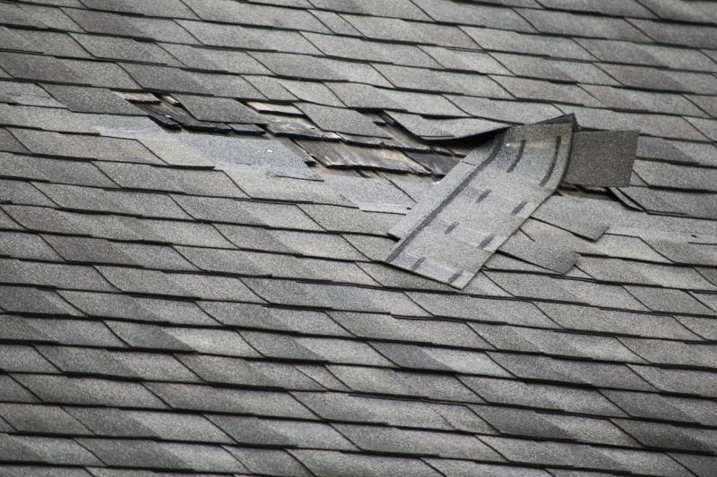 Damaged Shingle Replacement